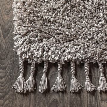 Mercer Shag Plush Tassel Area Rug
